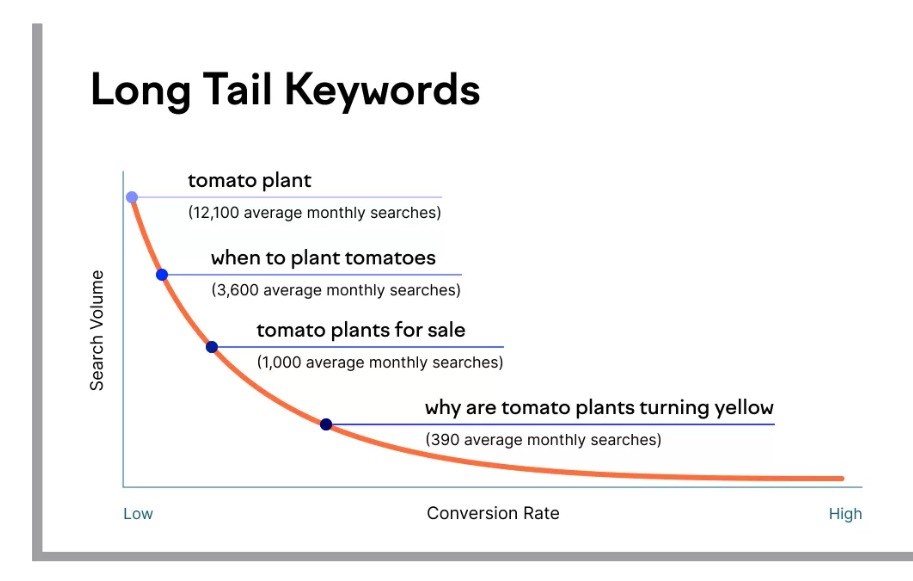 long tail keywords and conversion rate