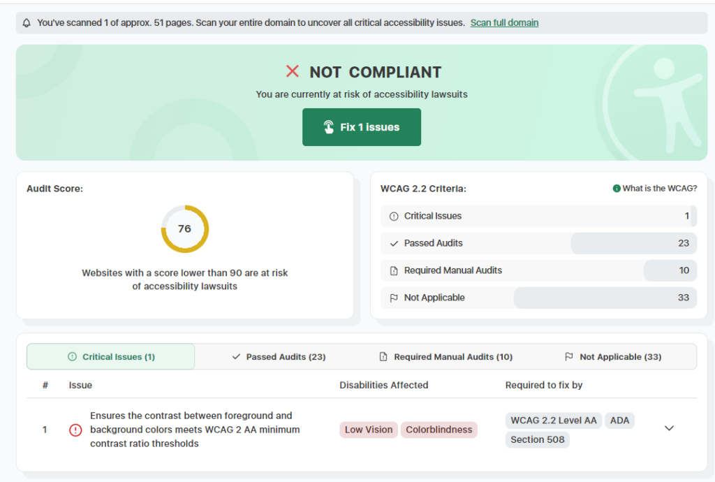 accessibility scan report