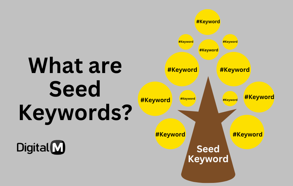 what is seed keyword