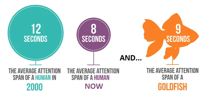 human being average attention span