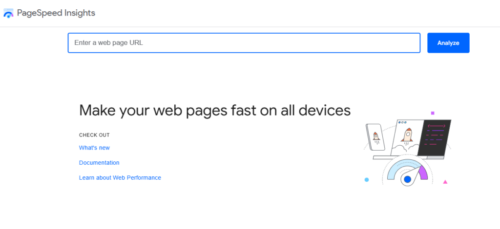 pagespeed insights screenshot of homepage