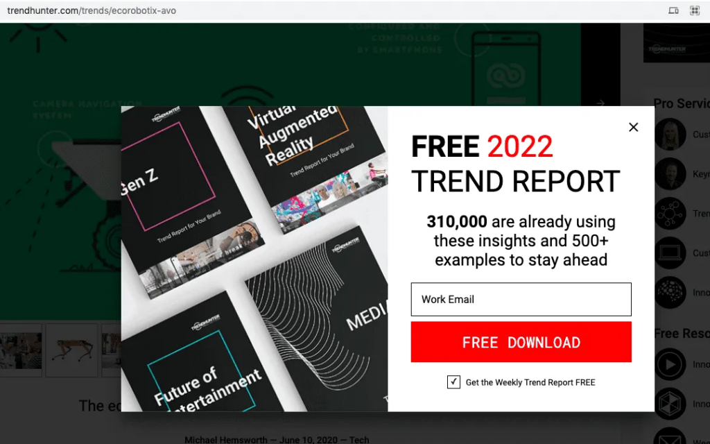 report lead magnet type