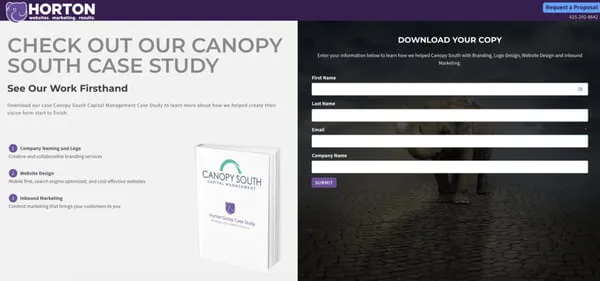 case study lead magnet example
