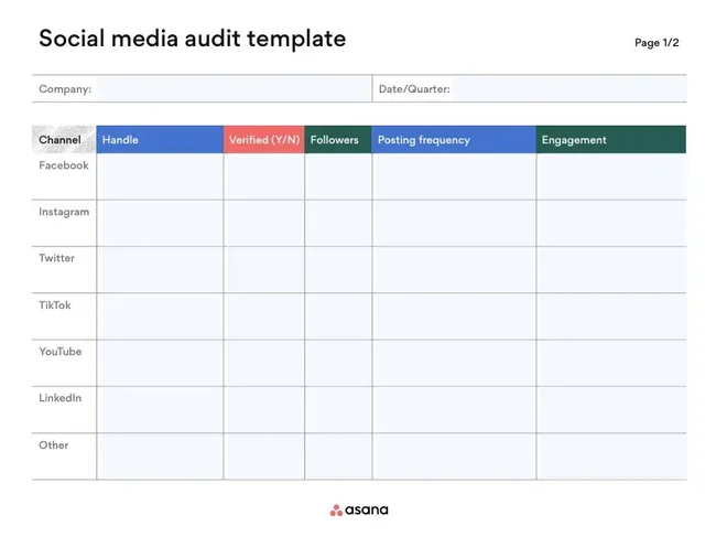 social media audit template