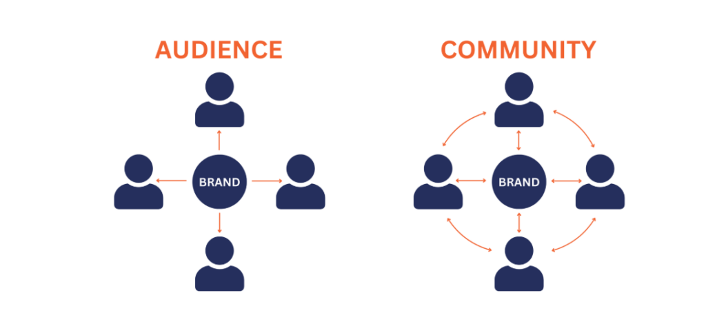 audience vs community